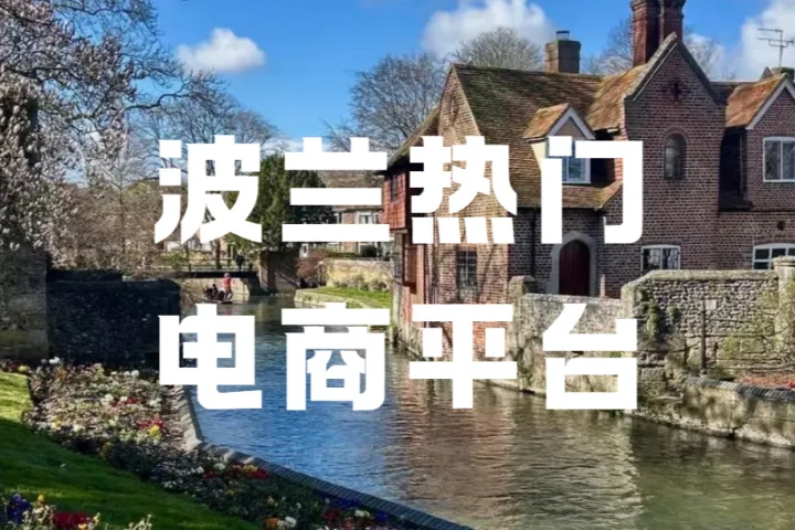 速卖通深耕波兰市场，凭何从低价转向“品牌+”战略？