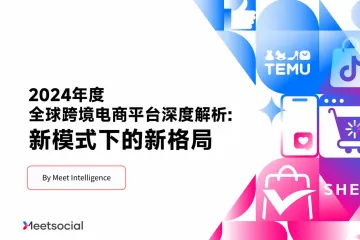 飞书深诺：2024年度全球跨境电商平台深度解析报告新模式下的新格局