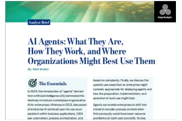 DeepAnalysis：2024AI智能体AIAgent概念运作原理及组织最优应用场景研究报告英文版