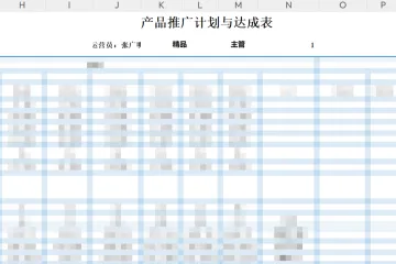 亚马逊运营管控表