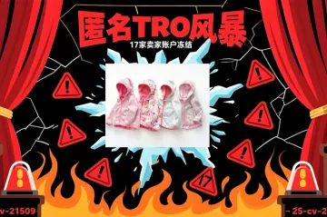 25-cv-21509，已TRO冻结的神秘版权案件出炉，小板凳请准备好！