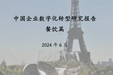 至美研究2024中国企业数字化转型研究报告-餐饮篇19页