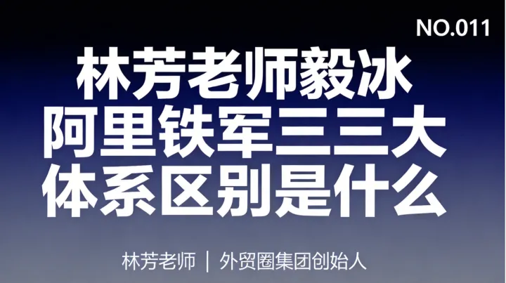 G11-林芳老师、毅冰、阿里铁军三大培训体系有什么区别？