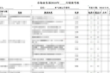 KPI Evaluation Form