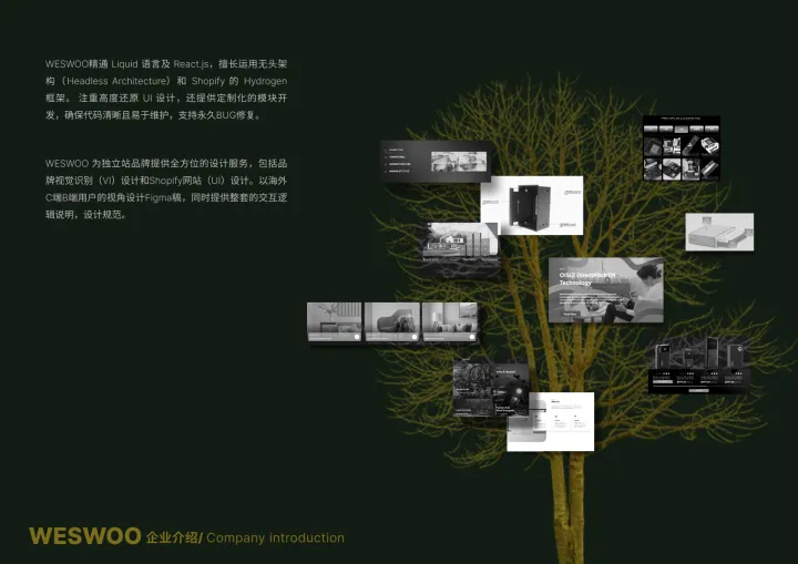 Shopify独立站设计开发|主题前端开发|UI设计|Shopify Plus B2B全栈扶持