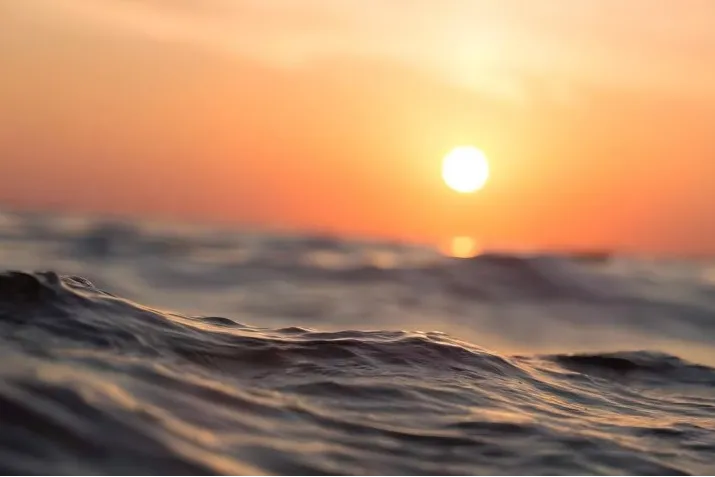 于浪潮之巅，见破晓之光｜霞光社新年献词