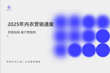阿里妈妈2025内衣营销通案45页