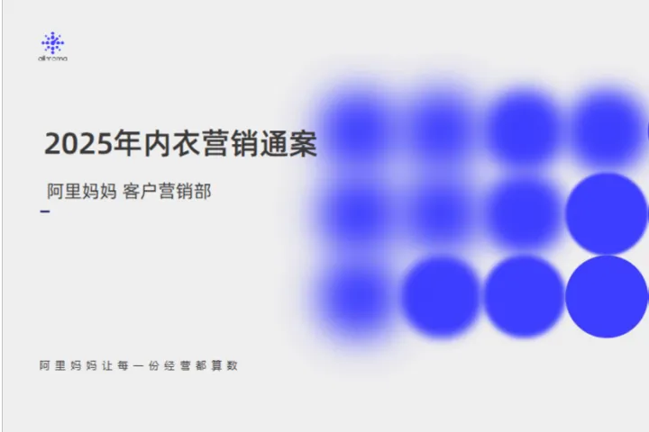 阿里妈妈2025内衣营销通案45页