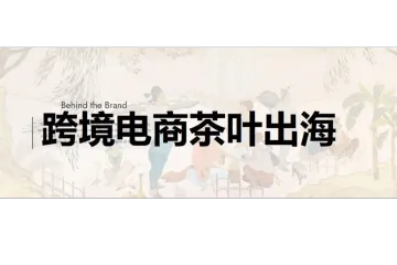 日销2000+单！老外爱上中国茶，茶叶出海迎来新机遇！