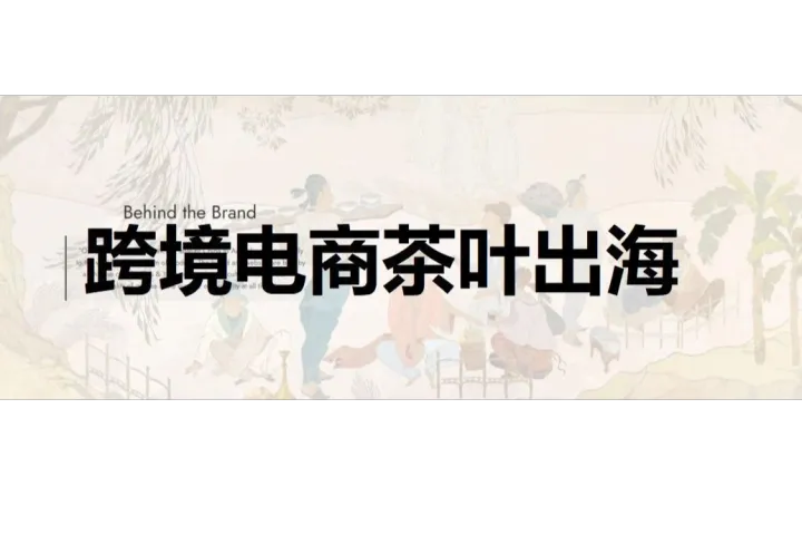 日销2000+单！老外爱上中国茶，茶叶出海迎来新机遇！