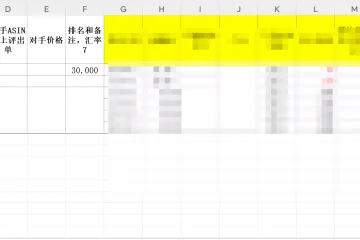 2024最新产品调研表