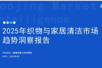 2025年织物与家居清洁市场趋势洞察报告