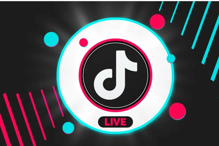 TikTok平台跨境电商全球市场分析：美国、欧洲、拉美