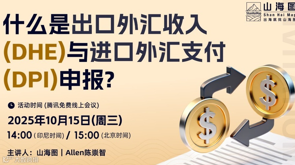 什么是出口外汇收入（DHE）与进口外汇支付（DPI）申报？【出海】