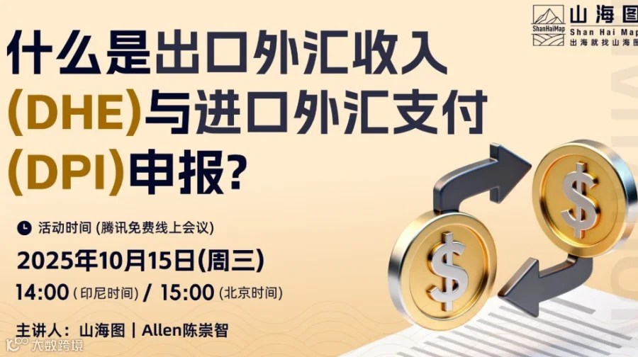 什么是出口外汇收入（DHE）与进口外汇支付（DPI）申报？【出海】