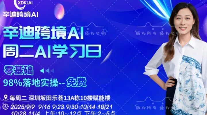 辛迪跨境AI——周二学习日（10.28场）