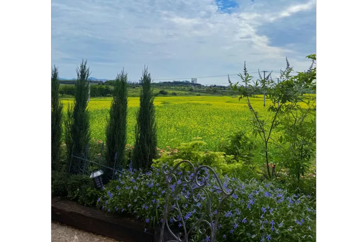低预算赴闽旅游，怎么挑选靠谱纯玩多日游｜避坑逻辑深度拆解