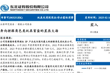 布鲁可-港股公司研究报告-奔向拼搭角色类玩具盲盒的星辰大海-25021632页