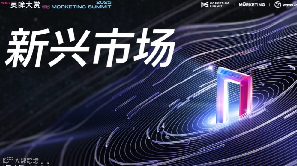 新兴市场｜第十届灵眸大赏