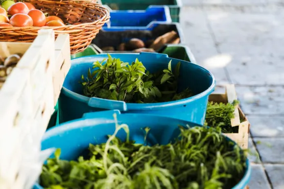 高效采购的艺术：如何在TradeKey上优化您的农产品寻源流程