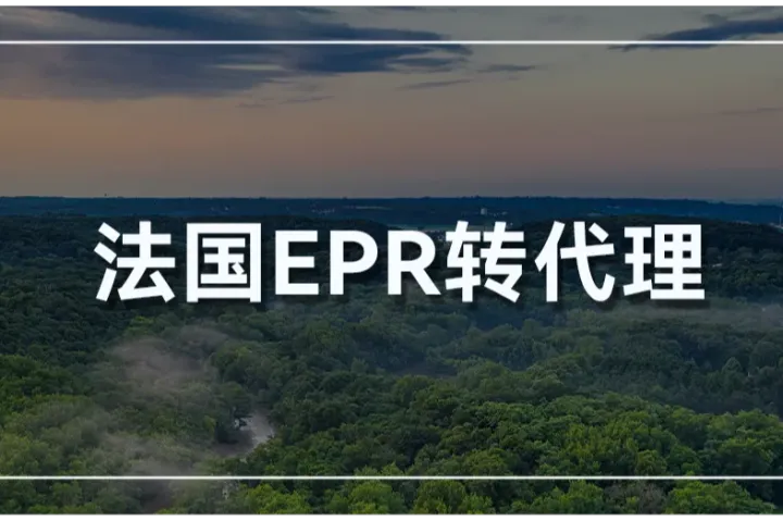EPR转代理时效慢？风险高？回复慢？这些通通不存在！