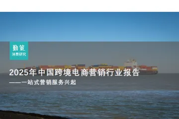 2025中国跨境电商营销行业报告一站式