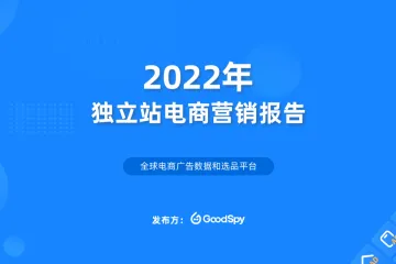GoodSpy：2022年独立站电商营销报告