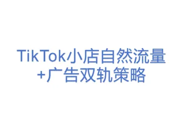 TikTok小店自然流量+广告双轨策略