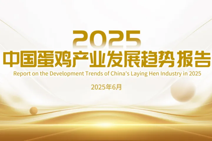光华<em>博</em>思特2025中国蛋鸡产业发展趋势报告