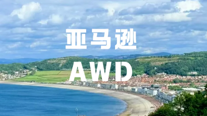 欧洲站卖家救命神器AWD卫星仓8月上线！
