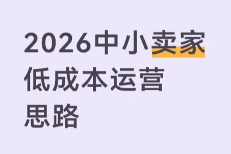 做跨境总踩坑？2026中小卖家低成本运营思路，少走弯路