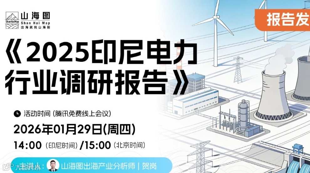《2025印尼电力行业调研报告》发布【出海】