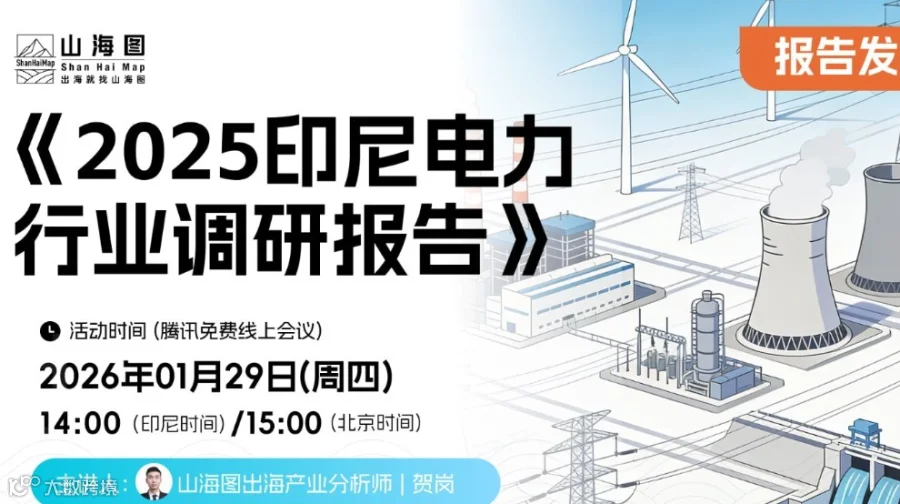 《2025印尼电力行业调研报告》发布【出海】