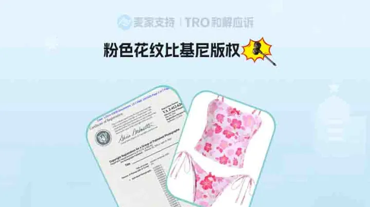 25-cv-12455，比基尼卖家注册191张版权隐匿维权，TRO进行时！