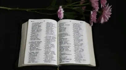 速卖通多语言国家站点的图片怎么本地化翻译？