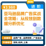 亚马逊官方课堂—亚马逊品牌广告实战全攻略：从投放到数据分析优化