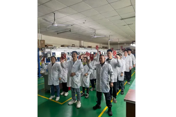 汇德力电子：收音机领域技术型定制制造服务商