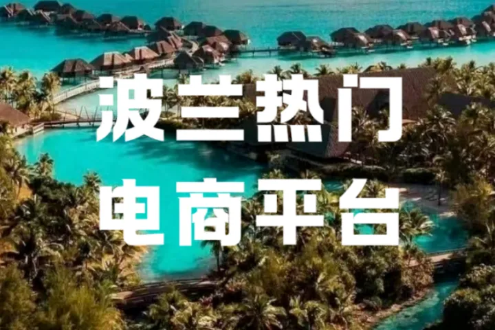 波兰电商新风口在哪？Allegro×Meta（Facebook）联手解锁二手交易新玩法