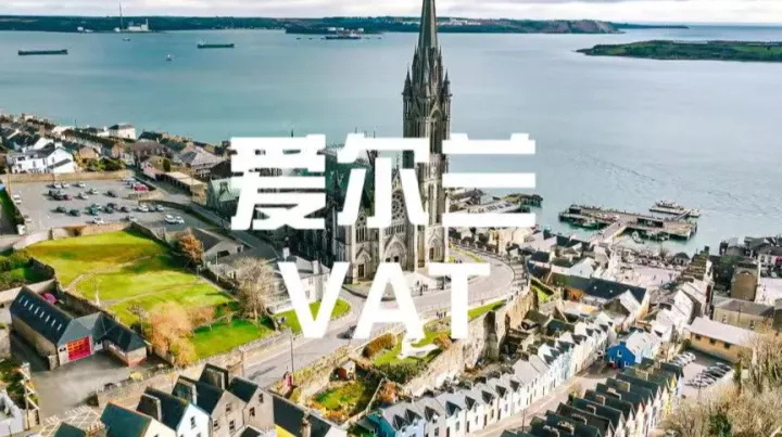 别踩进口VAT的坑！先缴后抵和递延缴税，跨境卖家该怎么选？