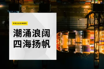 第一太平戴维斯2024中资企业出海报告