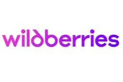 Wildberries热卖品类排行榜：2025年Q1最新消费趋势分析