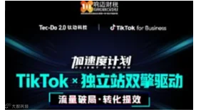 TikTokx独立站双擎驱动