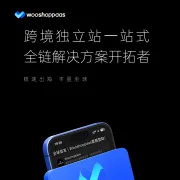 【Wooshoppaas】跨境独立站一站式全链解决方案