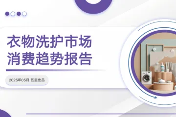 艺恩2025衣物洗护市场消费趋势报告27页