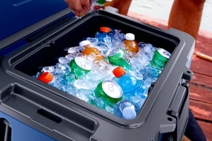 Ninja冷藏箱冲上美区热销榜，TikTok点燃小家电巨头的户外新战场