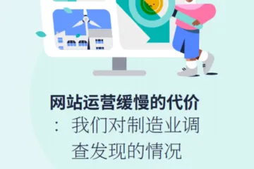 2024年网站速度成本与优化策略分析报告