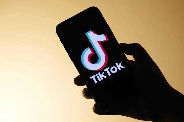 这款猫玩具在TikTok销量起飞，7天销量飙升190%