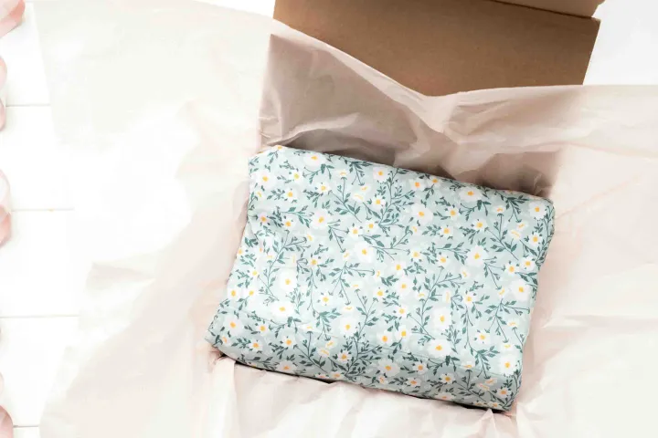 跨境成人用品官网怎么搭？这几款独立站平台最懂“隐私+合规”