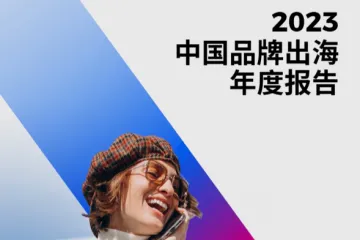 飞书深诺：2023中国品牌出海年度报告（69页）