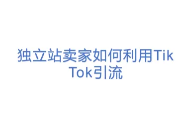 独立站卖家如何利用Tik Tok引流